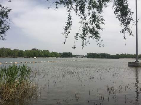 守时_守时的读音_守时的意思